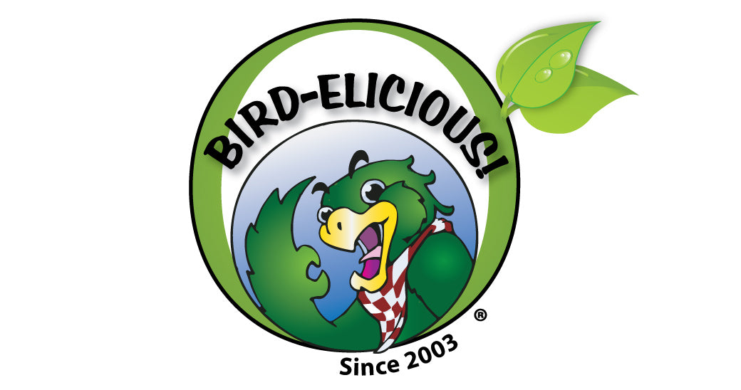 Educational Series: Is My Bird Sick? Part 3 Beak & Talons