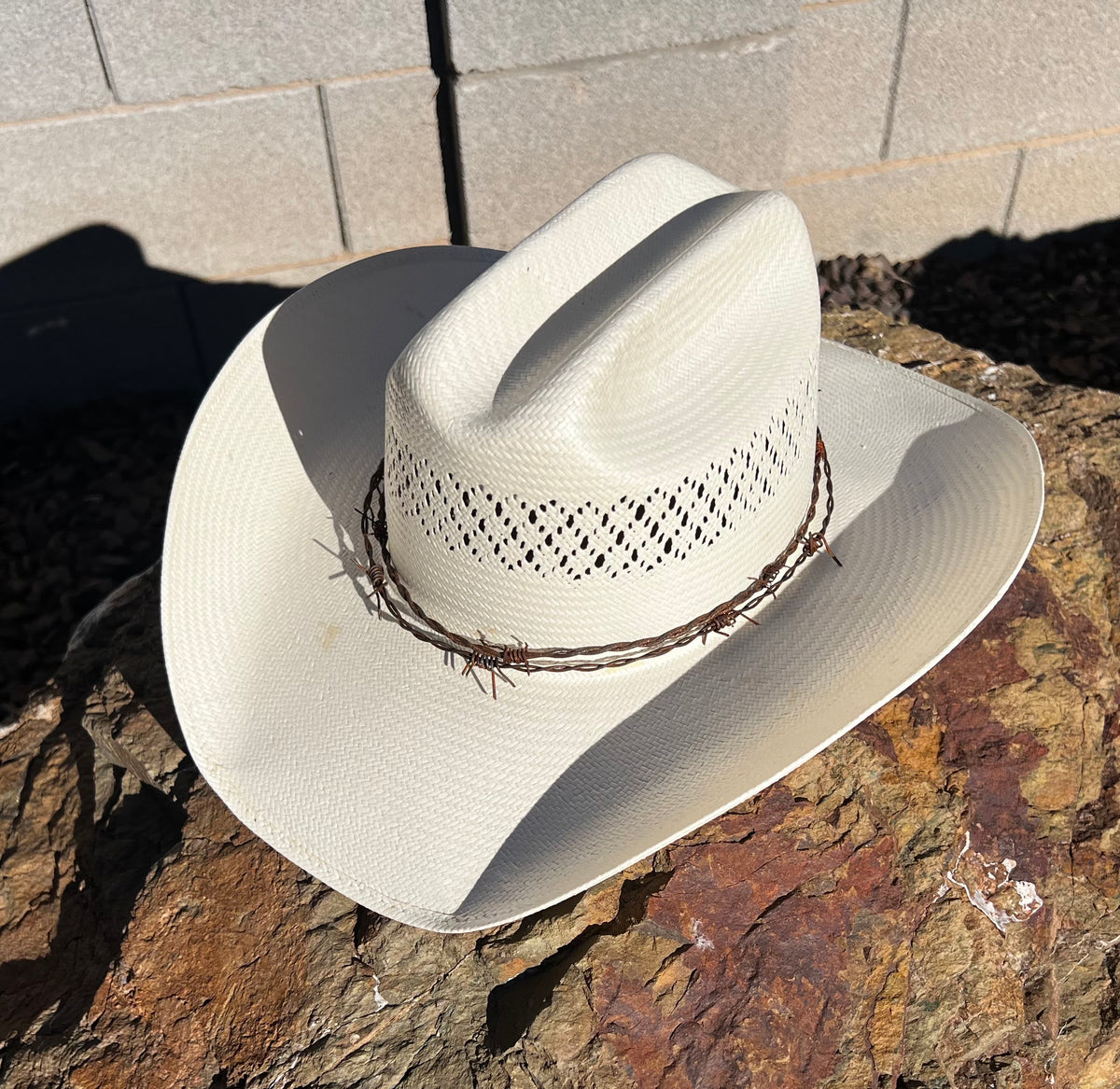 Barbed Wire "Crown of Throns" Hat Band