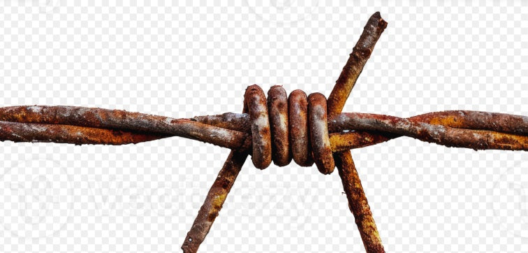 Barbed Wire "Crown of Throns" Hat Band