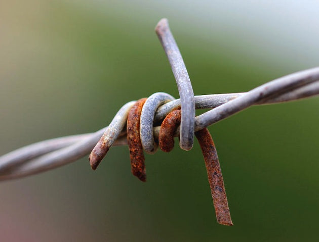 Barbed Wire "Crown of Throns" Hat Band