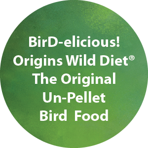 bird food, organic bird food, chop, freeze dried chop, chop for birds, african grey, cockatiel, conure, eclectus, cockatoo, lovebird, amazon parrot, best bird food, harrison's bird food, harrisons, zoopreem, in tune, higgin's, higgins, texas natural