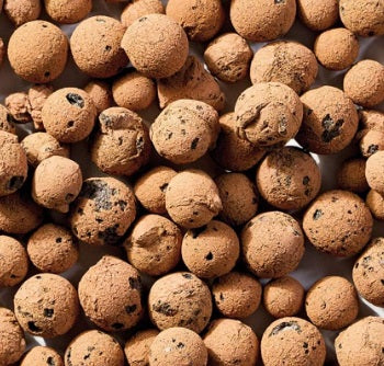 NEW Doggy Breath Bites - 50 count INTRODUCTORY OFFER!