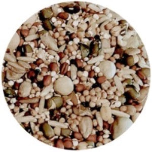 BirDelicious! Origins Wild Diet® Bird Food Garden Party | Pre-Sprouted Mix w/Omegas! 8oz 990002000005 10-GPPSM8