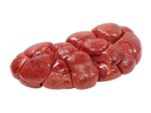 BirDelicious! Origins Wild Diet® Dog Food Beef Kidneys | Organic | 1oz Freeze-Dried