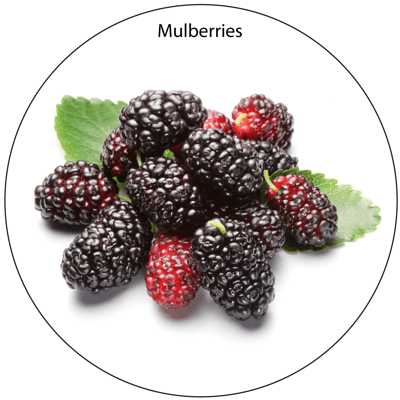 The Best Bird Food Fruits and Vegetables DISCONTINUED - Organic Mulberries - 4oz Organic Dried Fruit 07DF-Mu-4