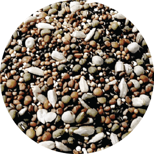 The Best Bird Food Sprouts Delicious Nutritious Sprout Mix 16oz Sprout Mix Delicious Nutritious 16 oz 10-DN-16