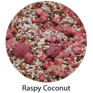 The Best Bird Food™ Whole Food Snack Raspy Coconut 4oz Good Morning Sunshine! Energy Makers 990002000008 04GMS-RC-4