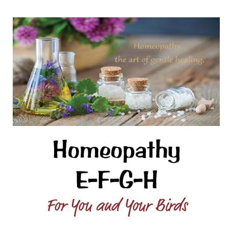 Homeopathy E-F-G-H